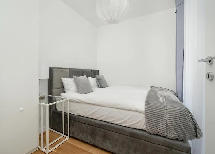 Rent Like - Gwiazdzista 20 Wroclaw